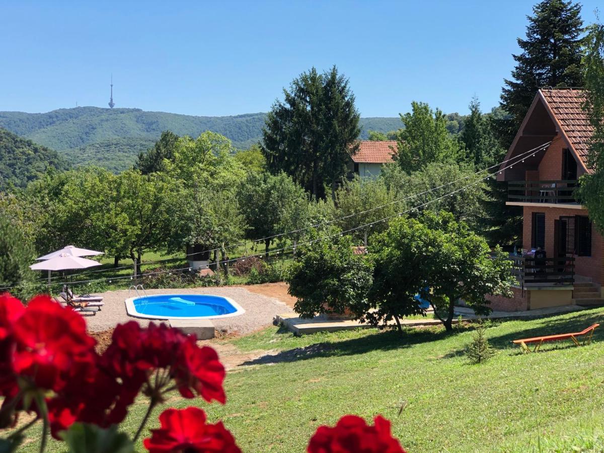 Fruska Pool House Villa Sremska Kamenica Exterior photo