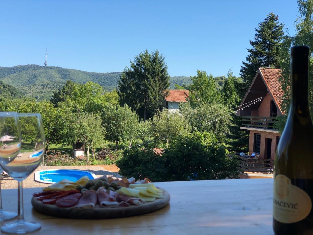 Fruska Pool House Villa Sremska Kamenica Exterior photo