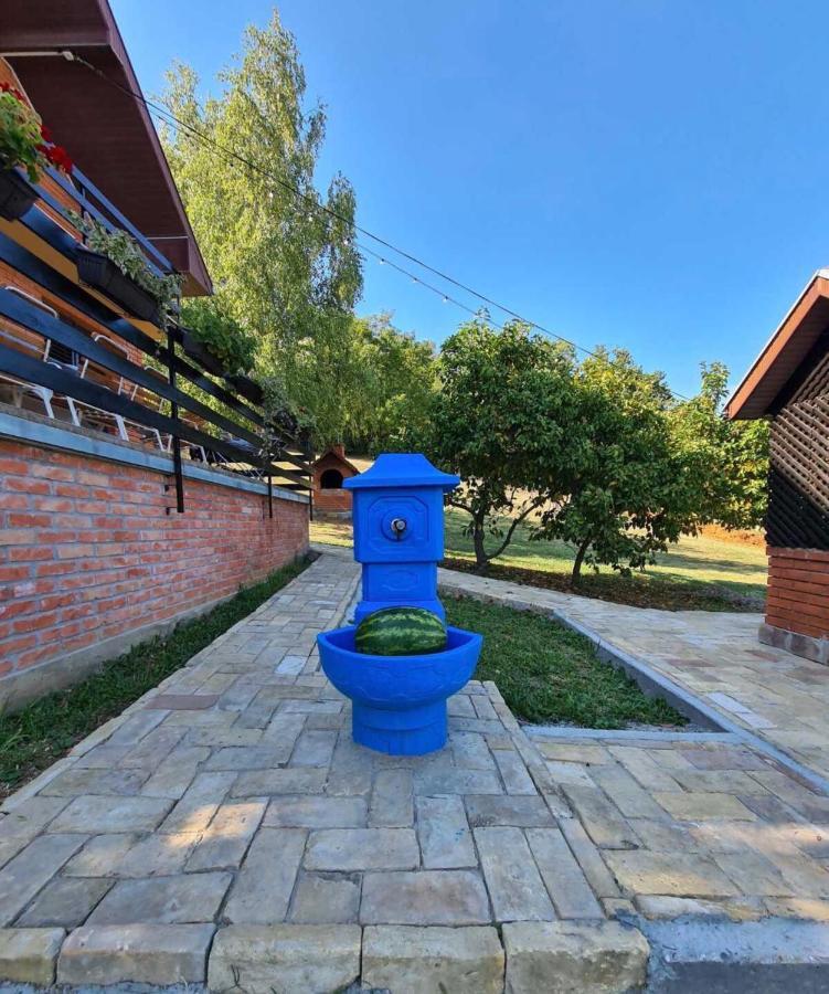 Fruska Pool House Villa Sremska Kamenica Exterior photo