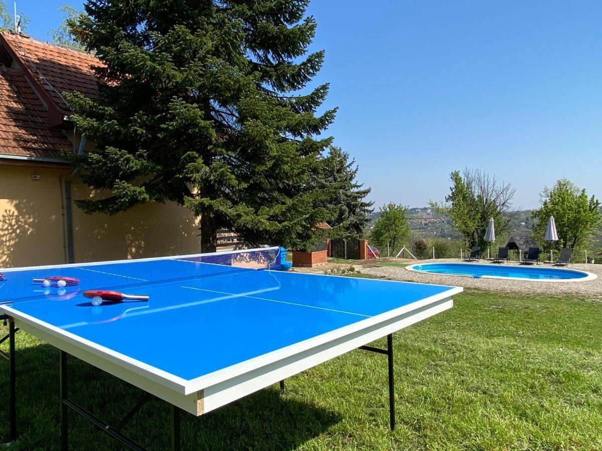Fruska Pool House Villa Sremska Kamenica Exterior photo