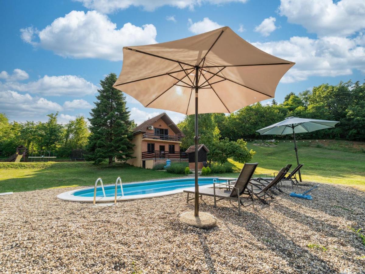 Fruska Pool House Villa Sremska Kamenica Exterior photo