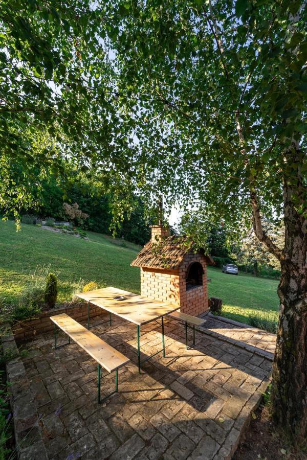 Fruska Pool House Villa Sremska Kamenica Exterior photo